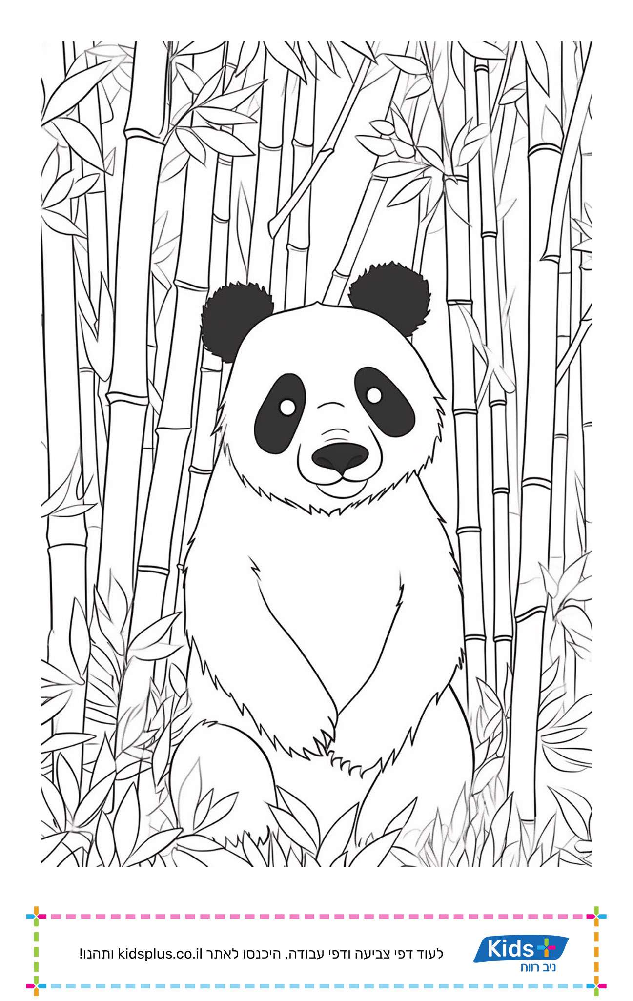 פרינטיים: דפי צביעה של דובי פנדה  Desenhos lindos para colorir, Panda  desenho, Desenhos animados para colorir